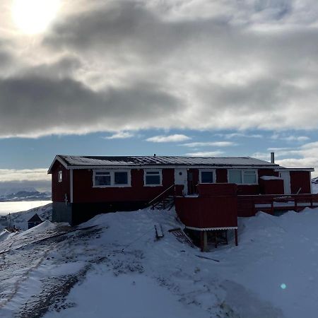 Isi4U Apartments, Snowmobile And Dogsled Сисимиут Экстерьер фото